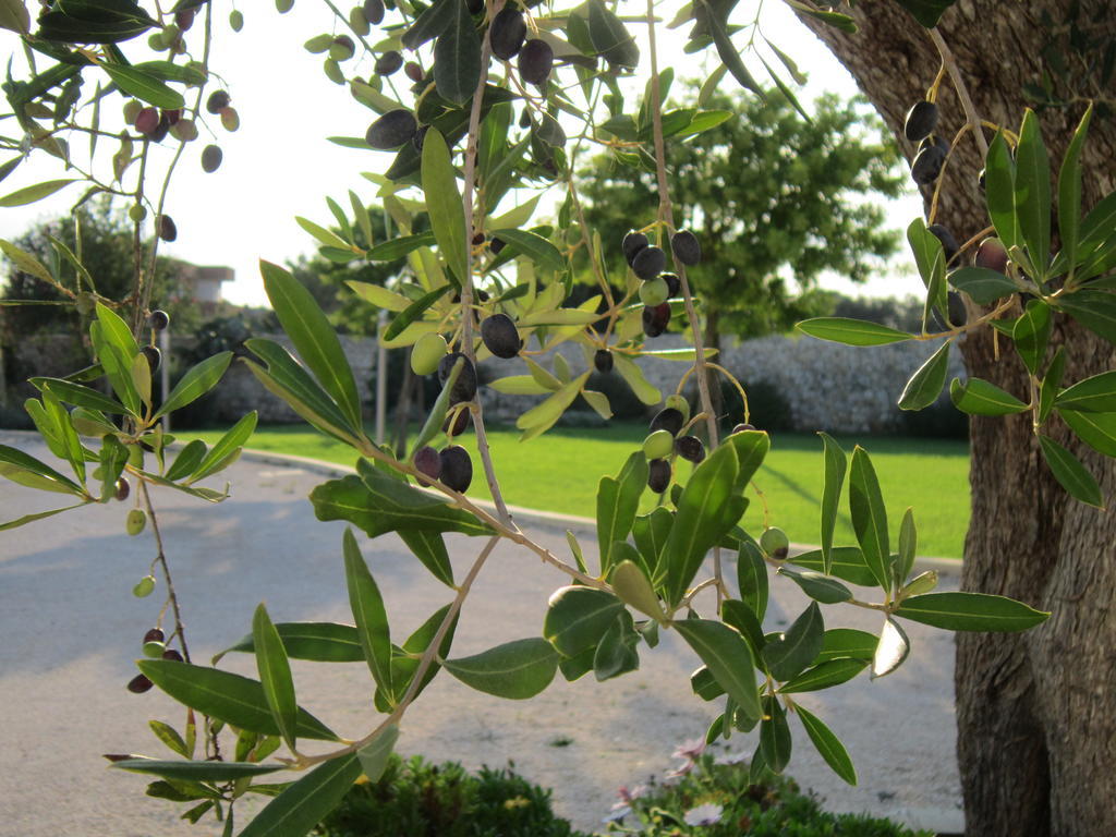 Willaria Country House Cursi Exterior photo